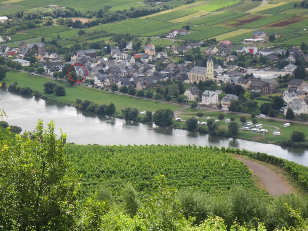 B&B Zum Treppchen Lösnich Zewnętrze zdjęcie