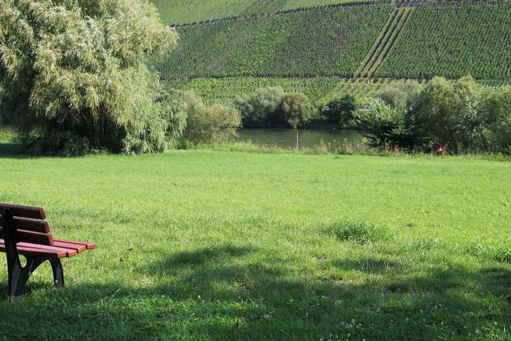 B&B Zum Treppchen Lösnich Zewnętrze zdjęcie