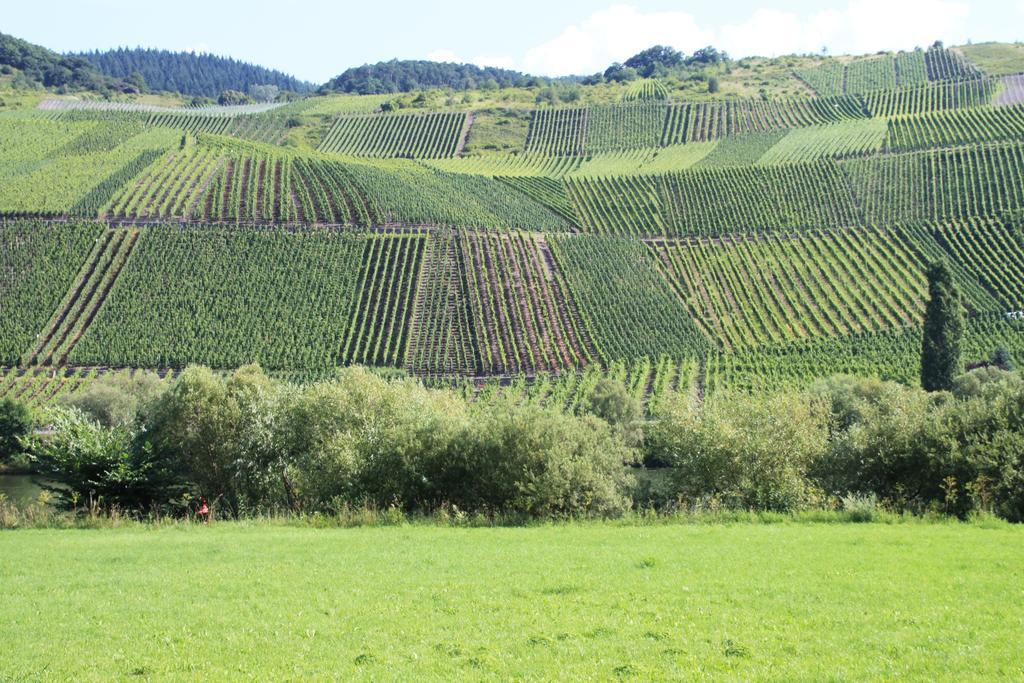 B&B Zum Treppchen Lösnich Zewnętrze zdjęcie